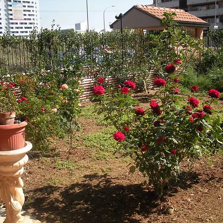 B&B Flores