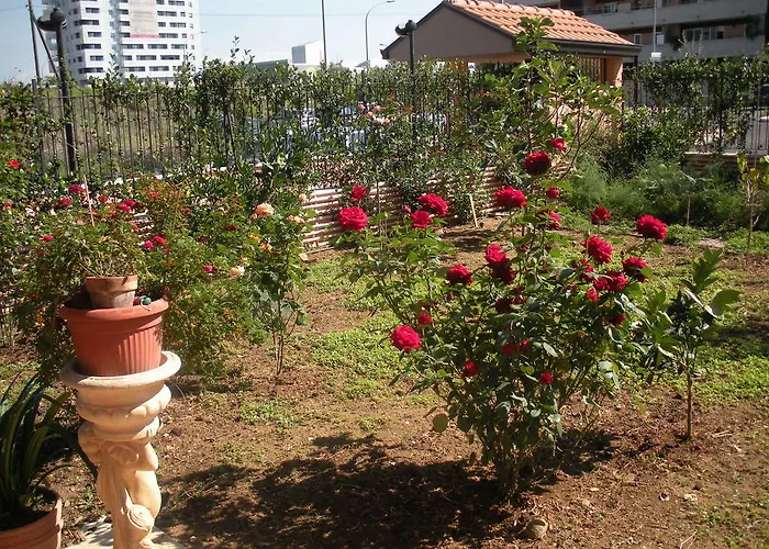 Flores