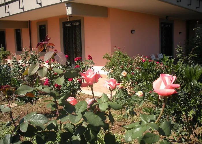 Flores Rome