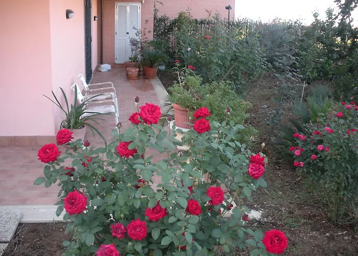 Flores