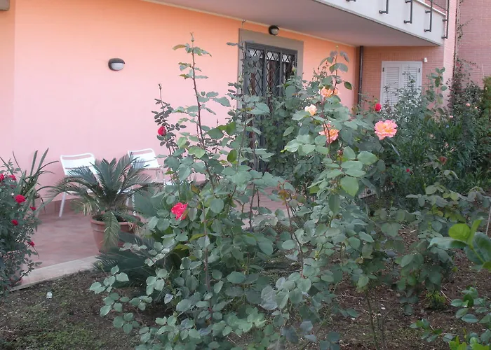 Flores Rome